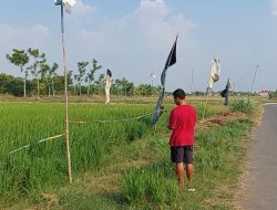 Mengenal Sosok Ahmad Arifudin, Petani Milenial Pelopor Mekanisasi Pertanian