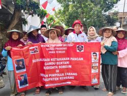 Rembang Jadi Pionir Sorgum, Petani Didorong Makin Sejahtera