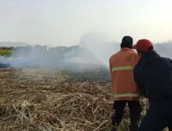 BPBD Banyumas Tambah Kewaspadaan Potensi Karhutla Selama Musim Kemarau