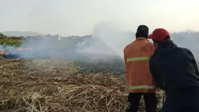 BPBD Banyumas Tambah Kewaspadaan Potensi Karhutla Selama Musim Kemarau