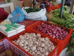 Kenaikan Harga Bawang Putih di Purwokerto, Dampaknya pada Daya Beli Masyarakat